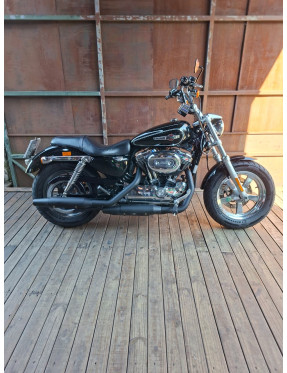 (2015) Sportster CA 1200 