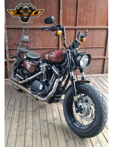 (2014) Sportster CB 1200 