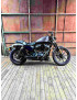 (2017) Sportster Iron 883 