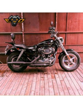 (2015) Sportster CA 1200 