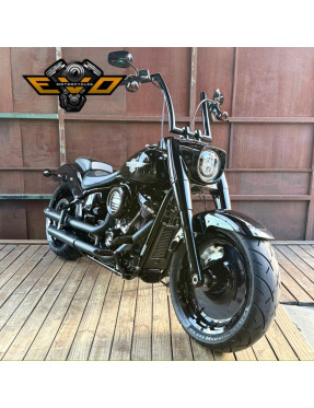 (2019) Softail Fat Boy 107