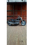 (2020) Softail Fat Boy 114