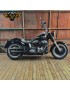 (2013) Fat Boy Low Special