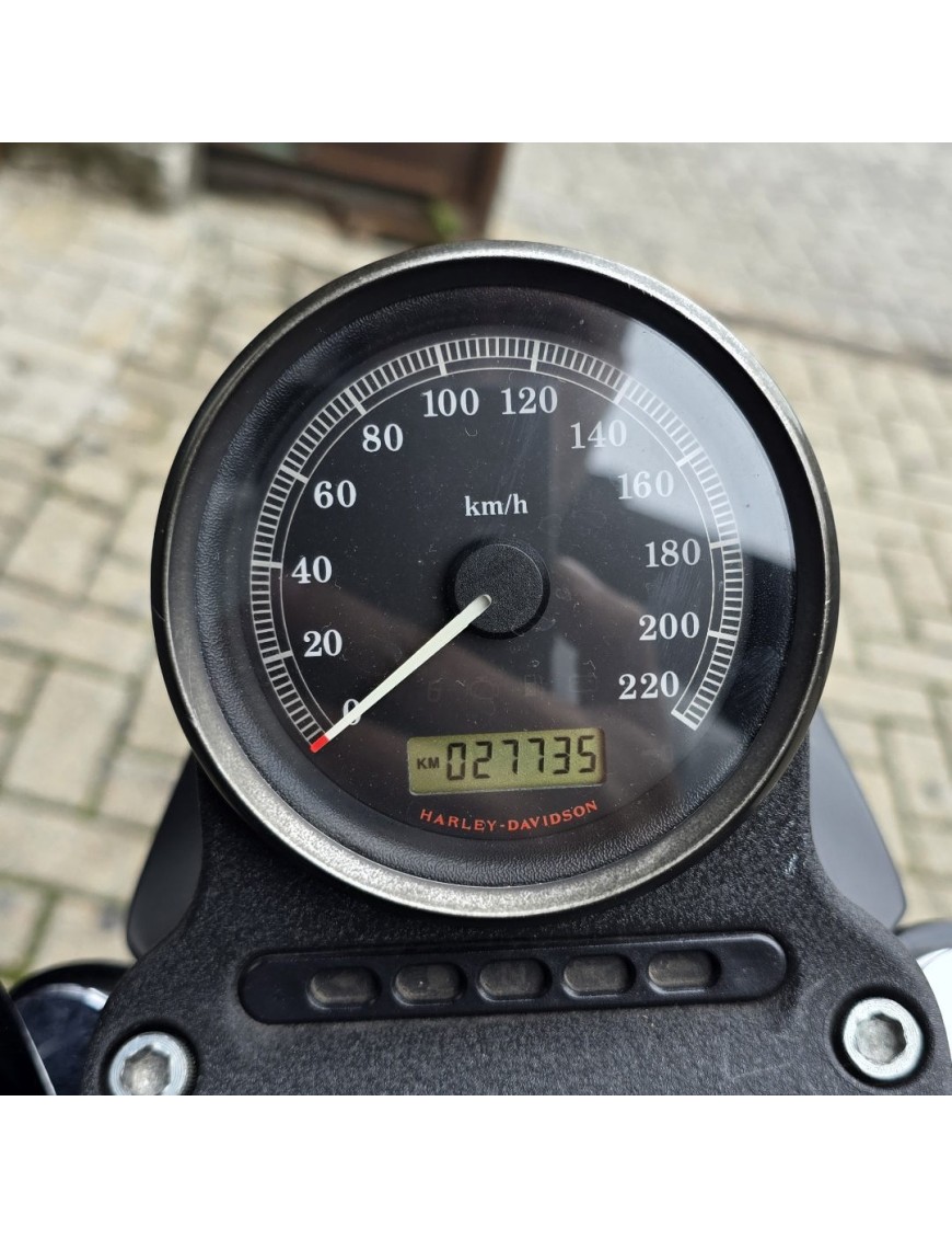 2012 Sportster Iron 883