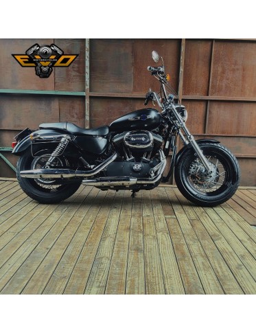(2013) Sportster CB 1200 