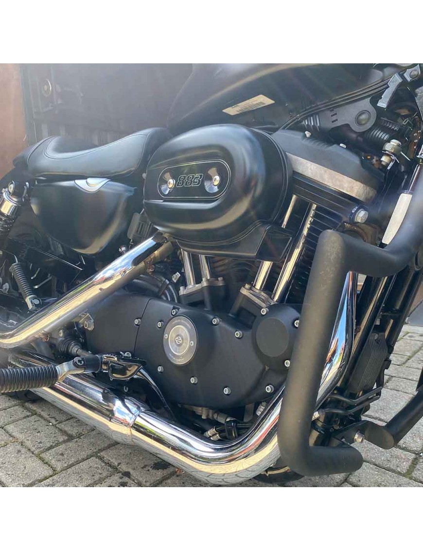 (2015) Sportster Iron 883