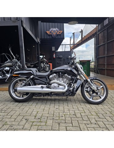 (2013) V-Rod Muscle