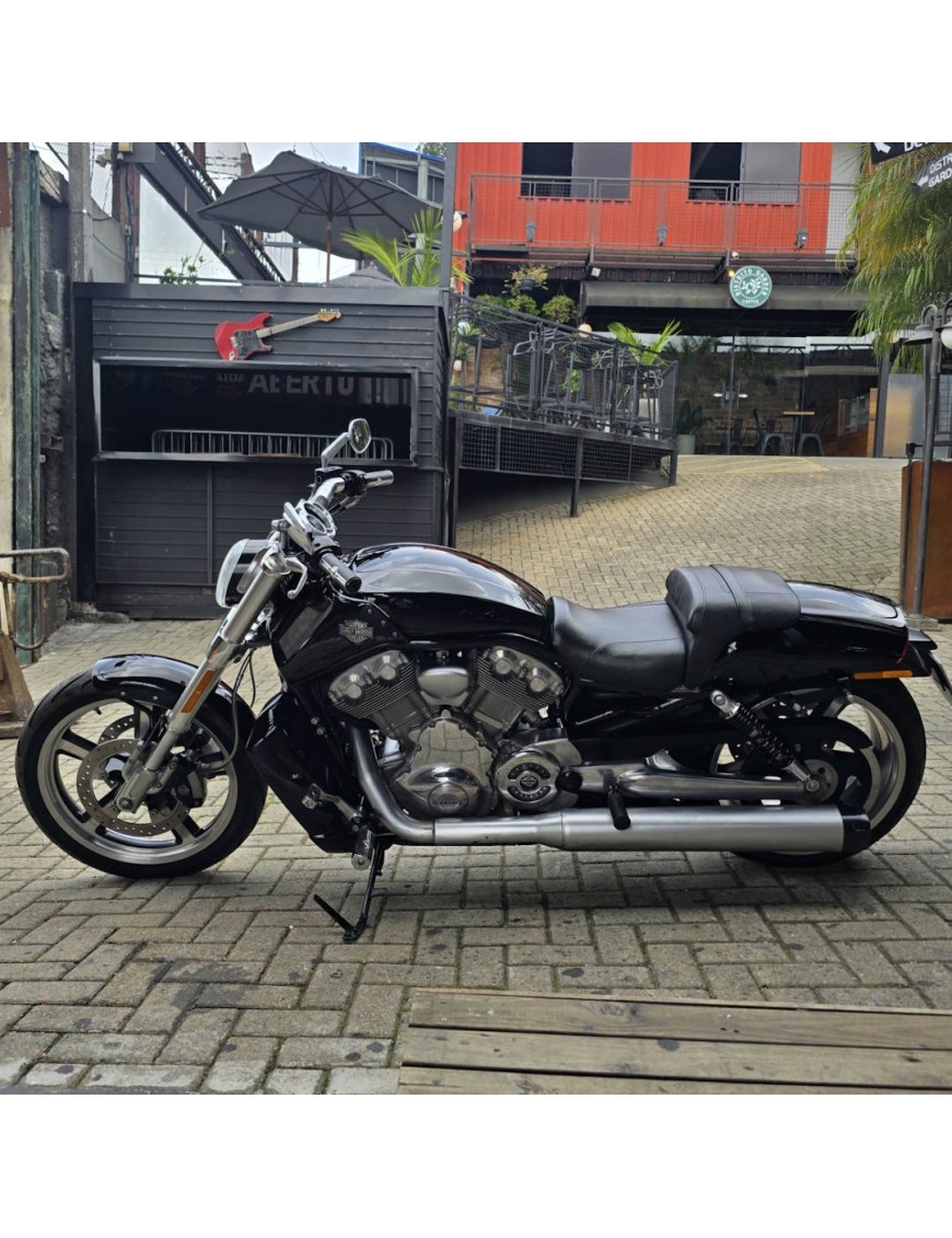 (2013) V-Rod Muscle