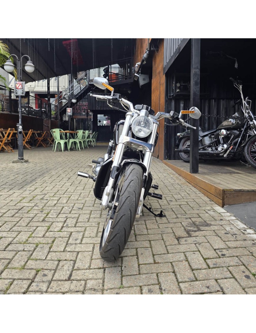 (2013) V-Rod Muscle
