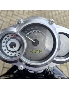 (2013) V-Rod Muscle